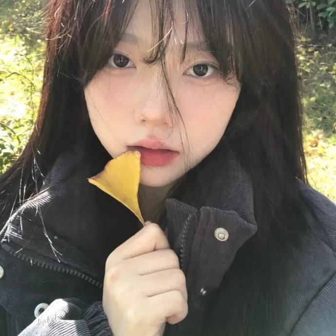 站立的动物故事